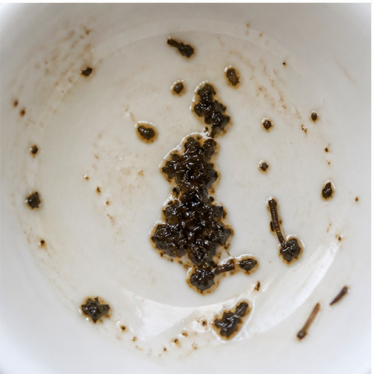 Nose tea leaves cup variation two