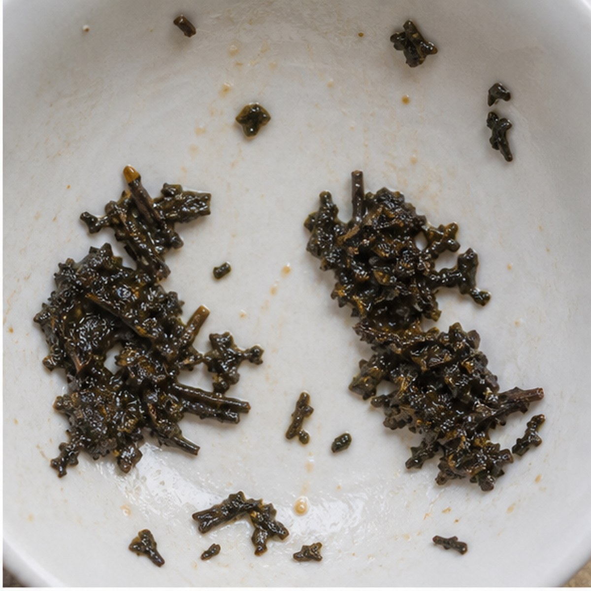 Nut-Crackers tea leaves cup variation one