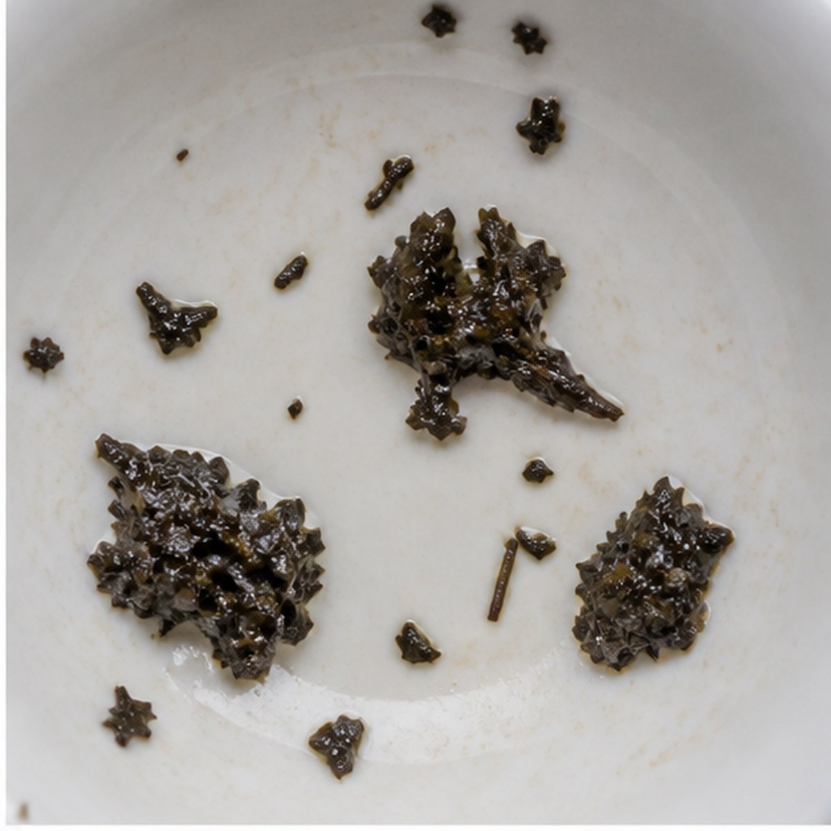Nuts tea leaves cup variation one