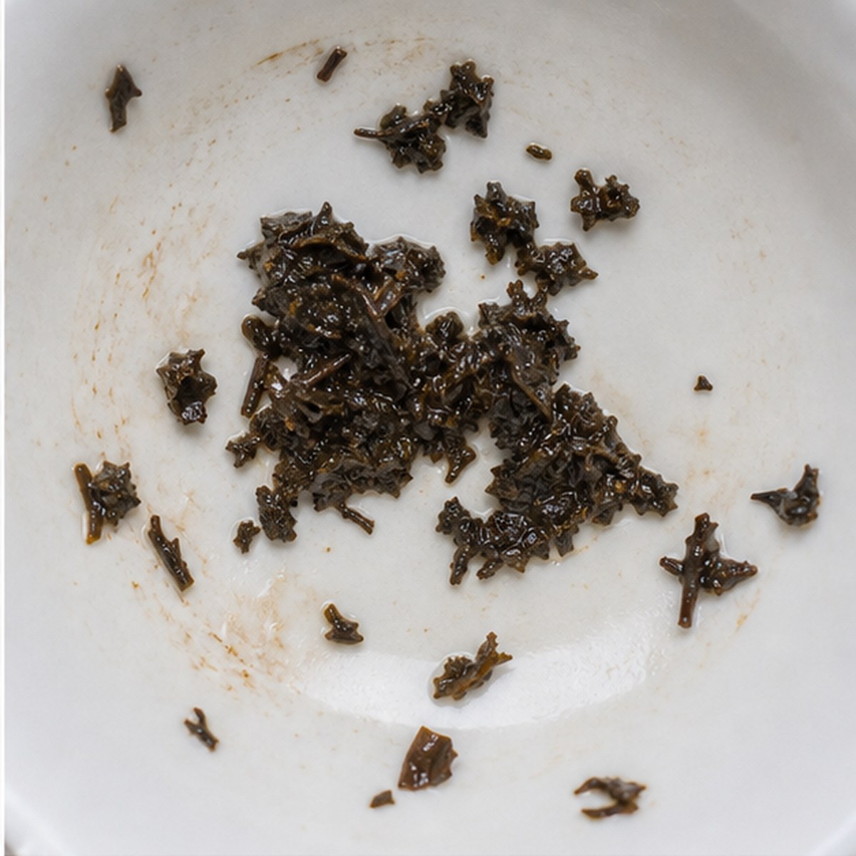Oak Tree tea leaves cup variation one