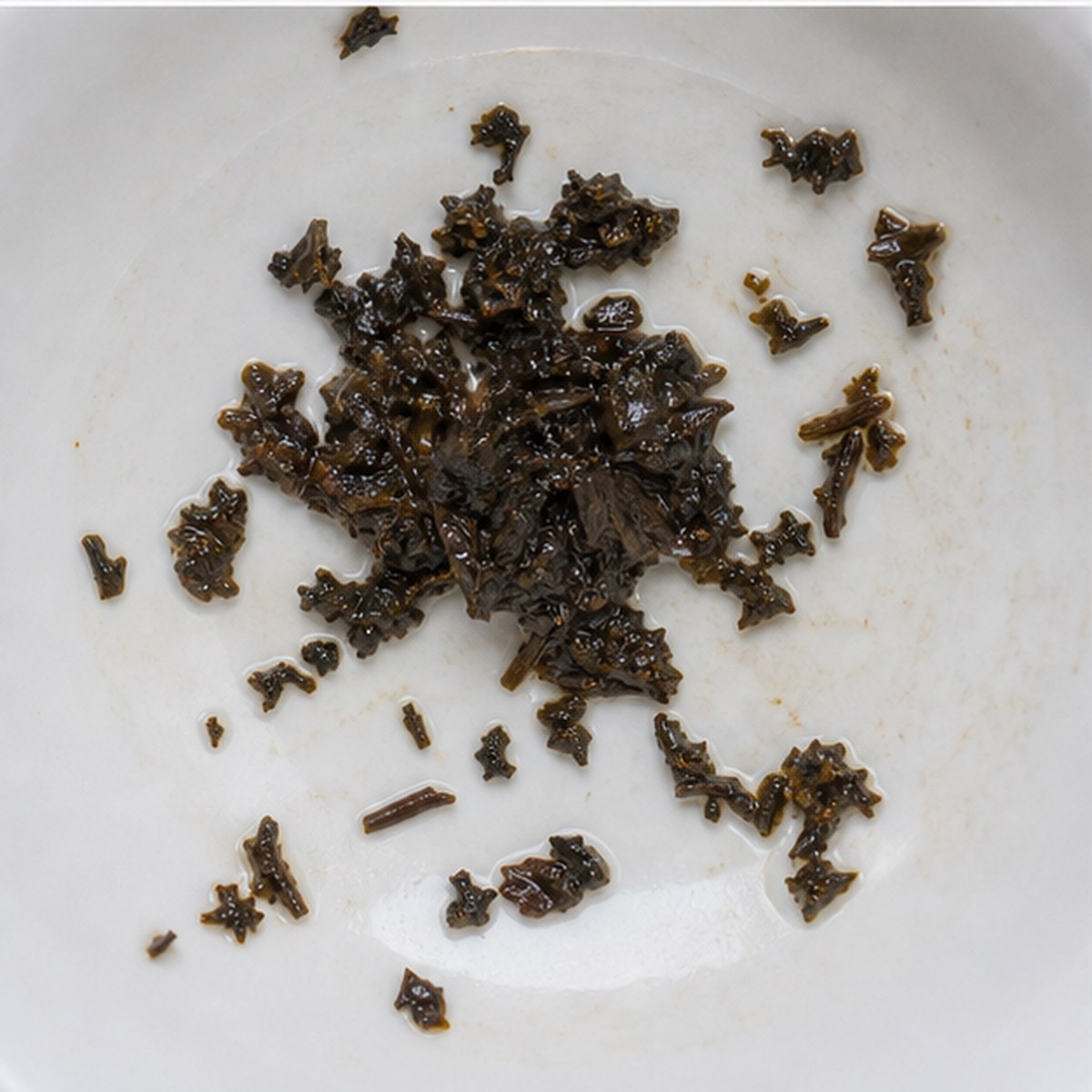 Oak Tree tea leaves cup variation two