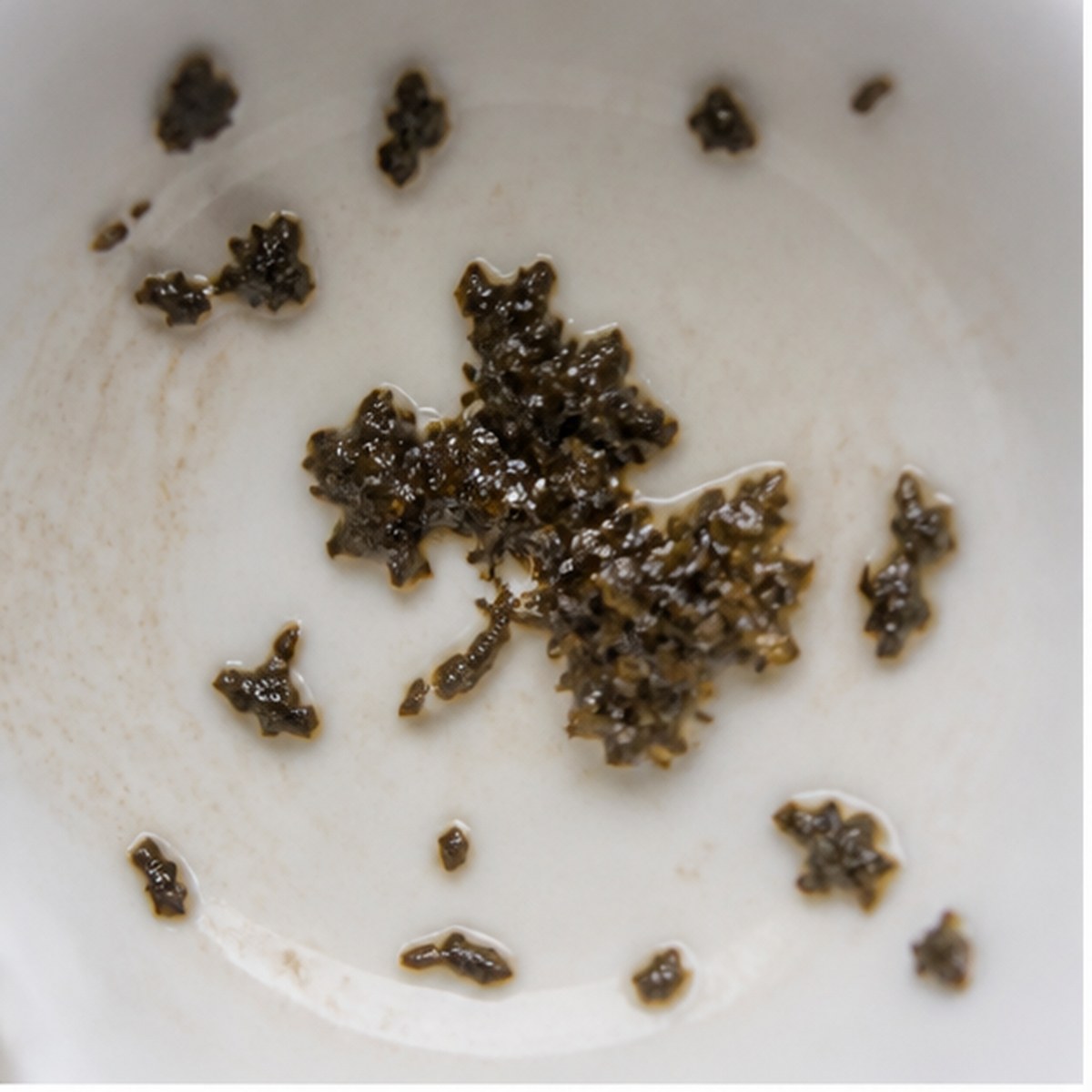Oak tea leaf reading cup example