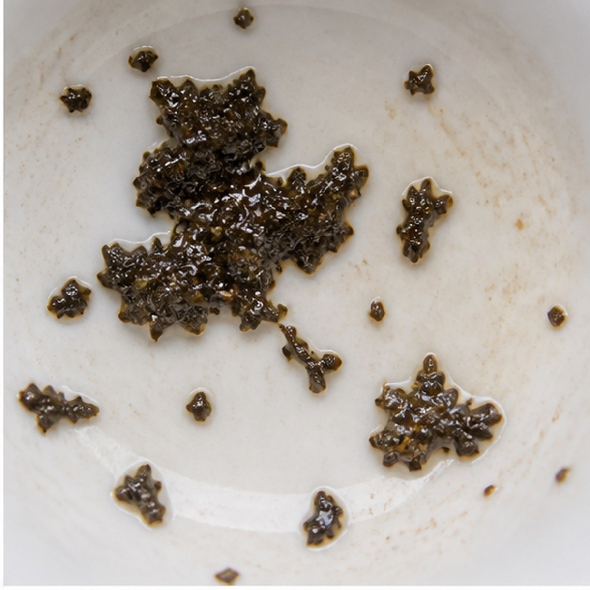 Oak tea leaves cup variation one