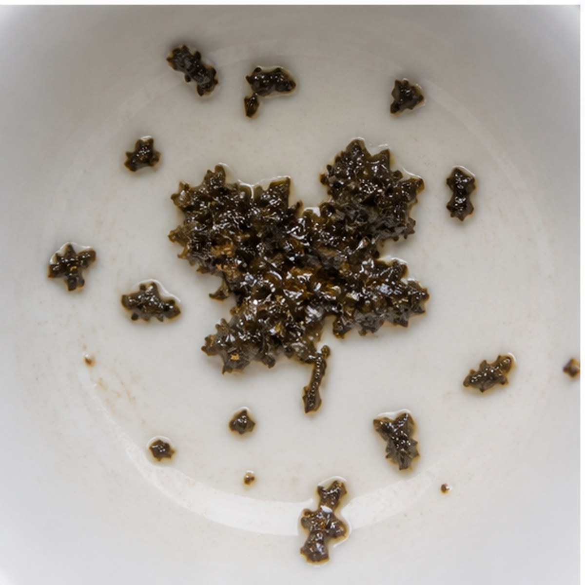 Oak tea leaves cup variation two
