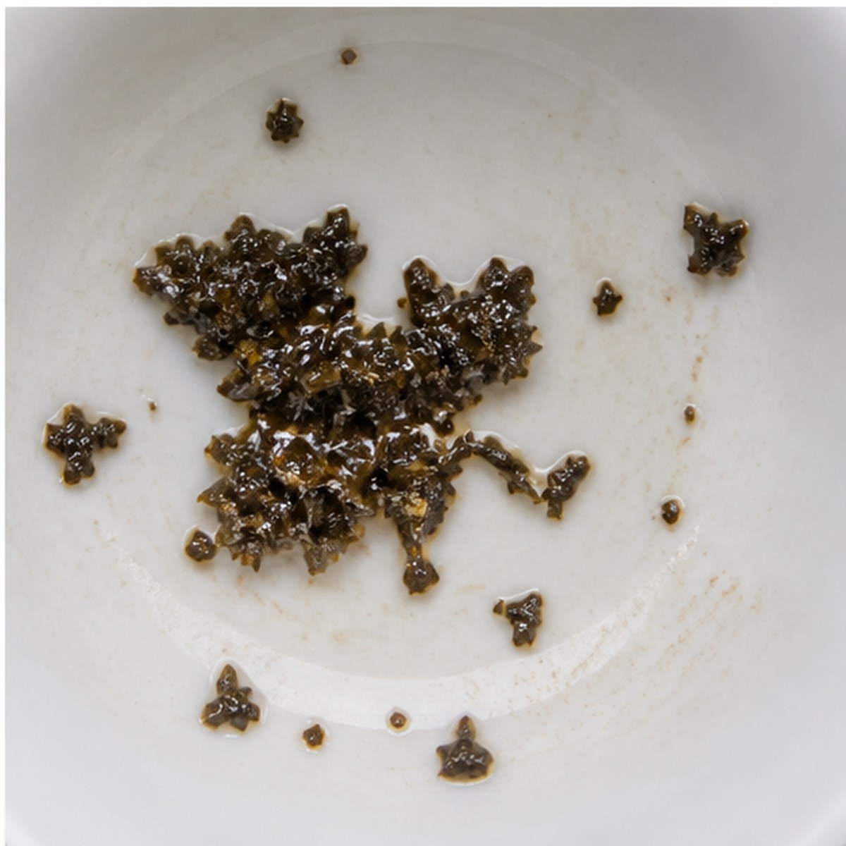 Oak tea leaves cup variation three