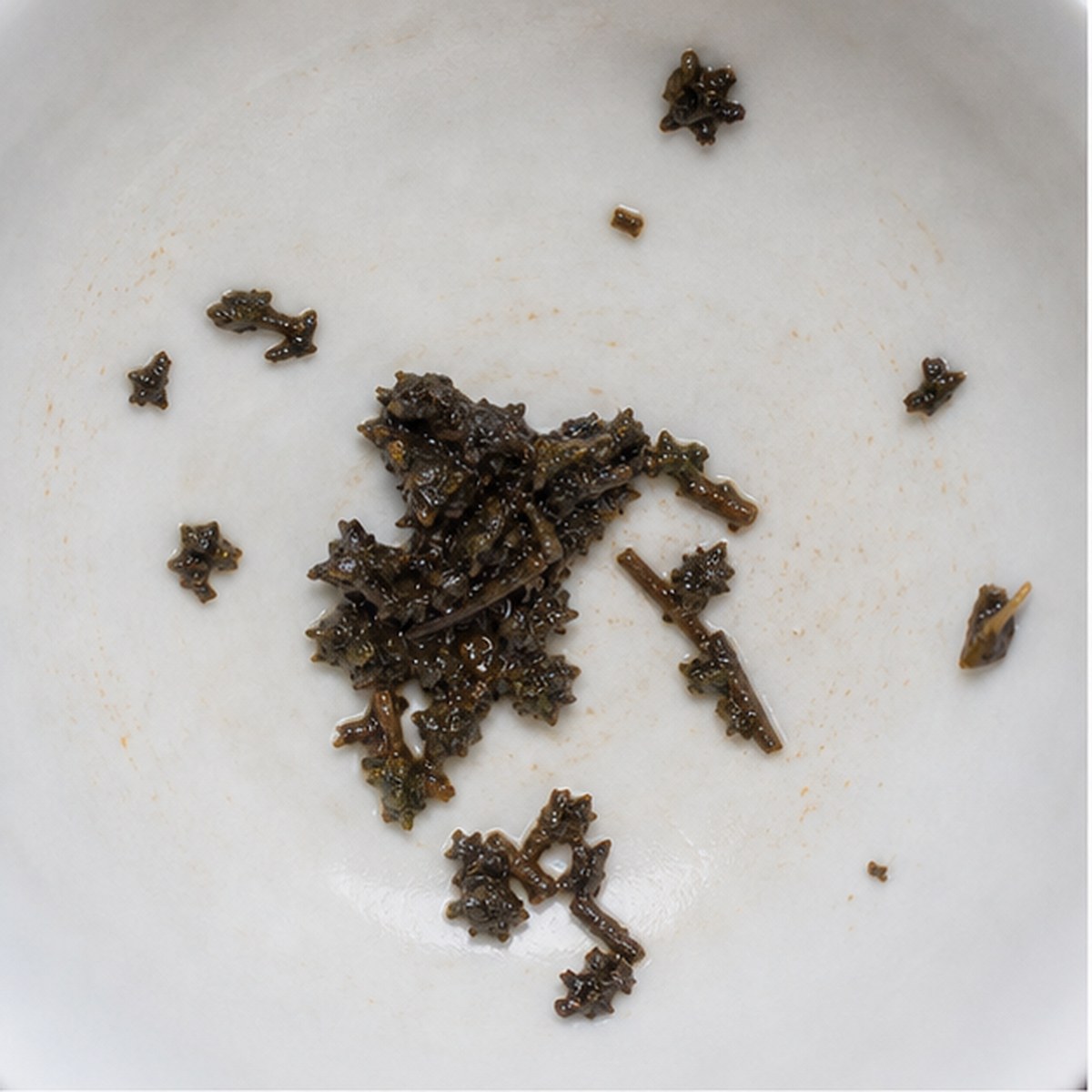 Oar tea leaf reading cup example