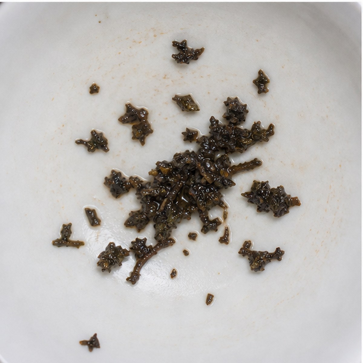 Oar tea leaves cup variation two