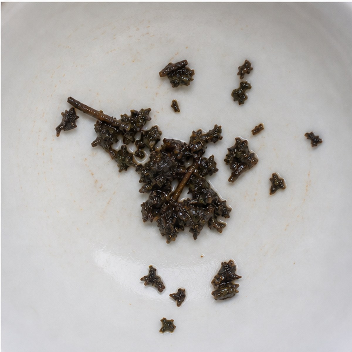Oar tea leaves cup variation three