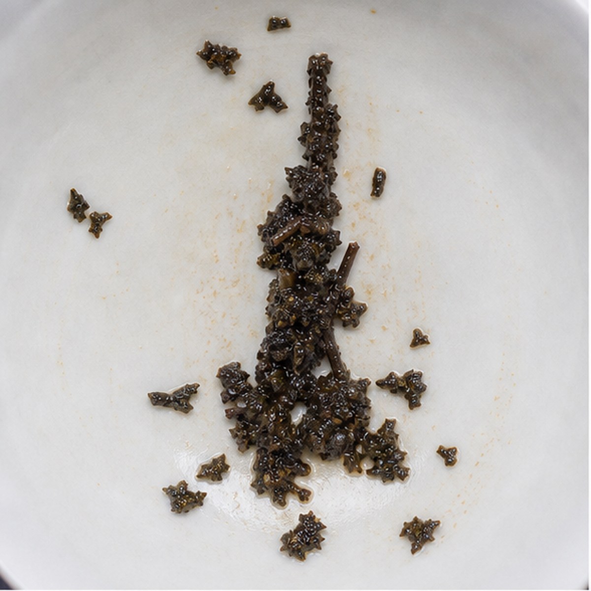 Obelisk tea leaf reading cup example