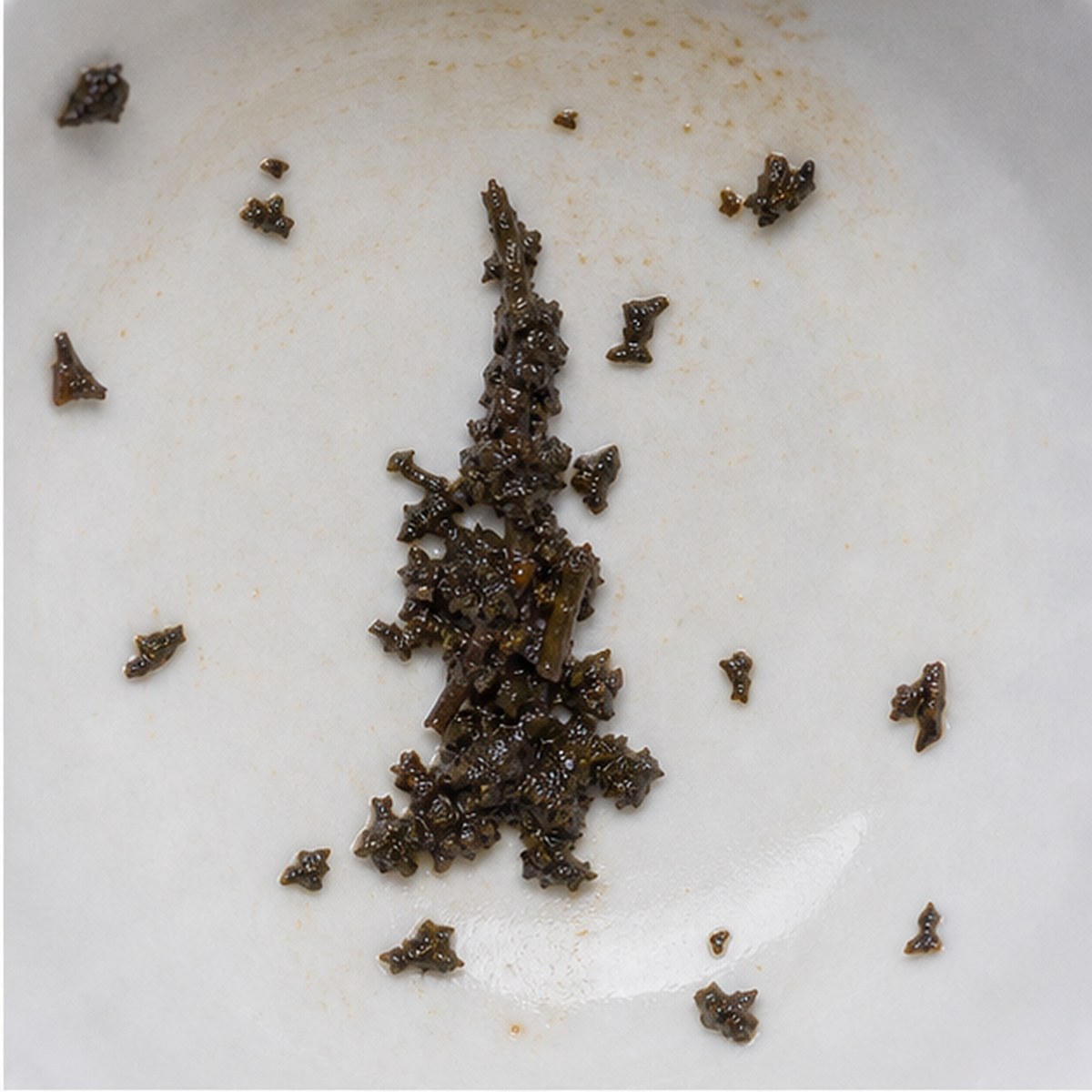 Obelisk tea leaves cup variation one