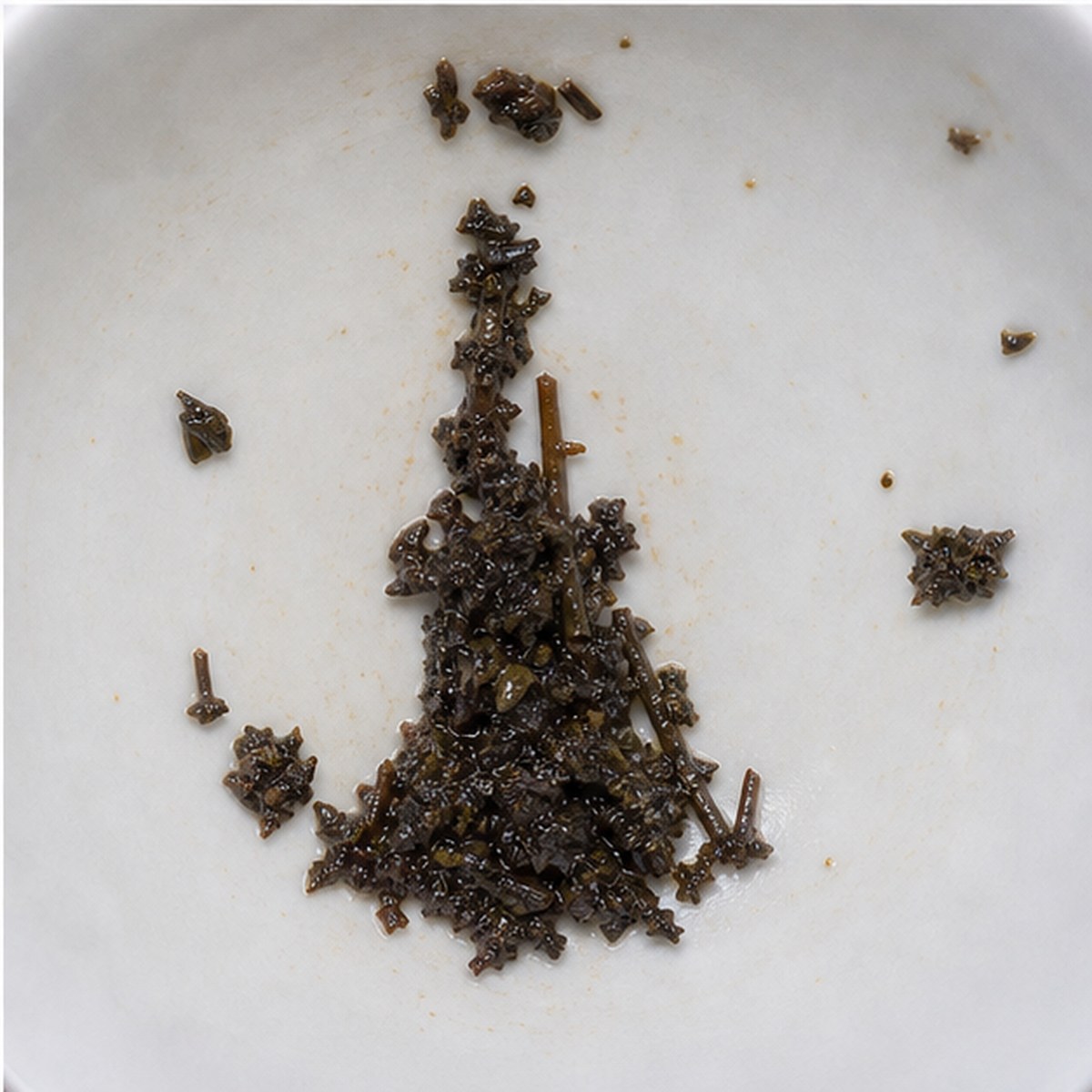 Obelisk tea leaves cup variation three