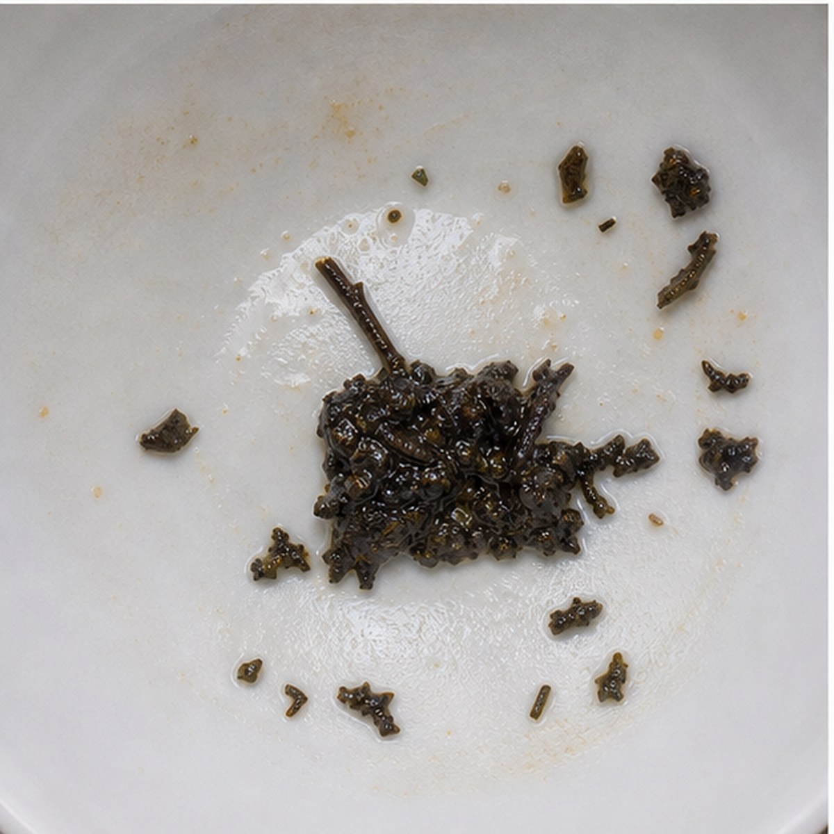 Oil-Can tea leaves cup variation two
