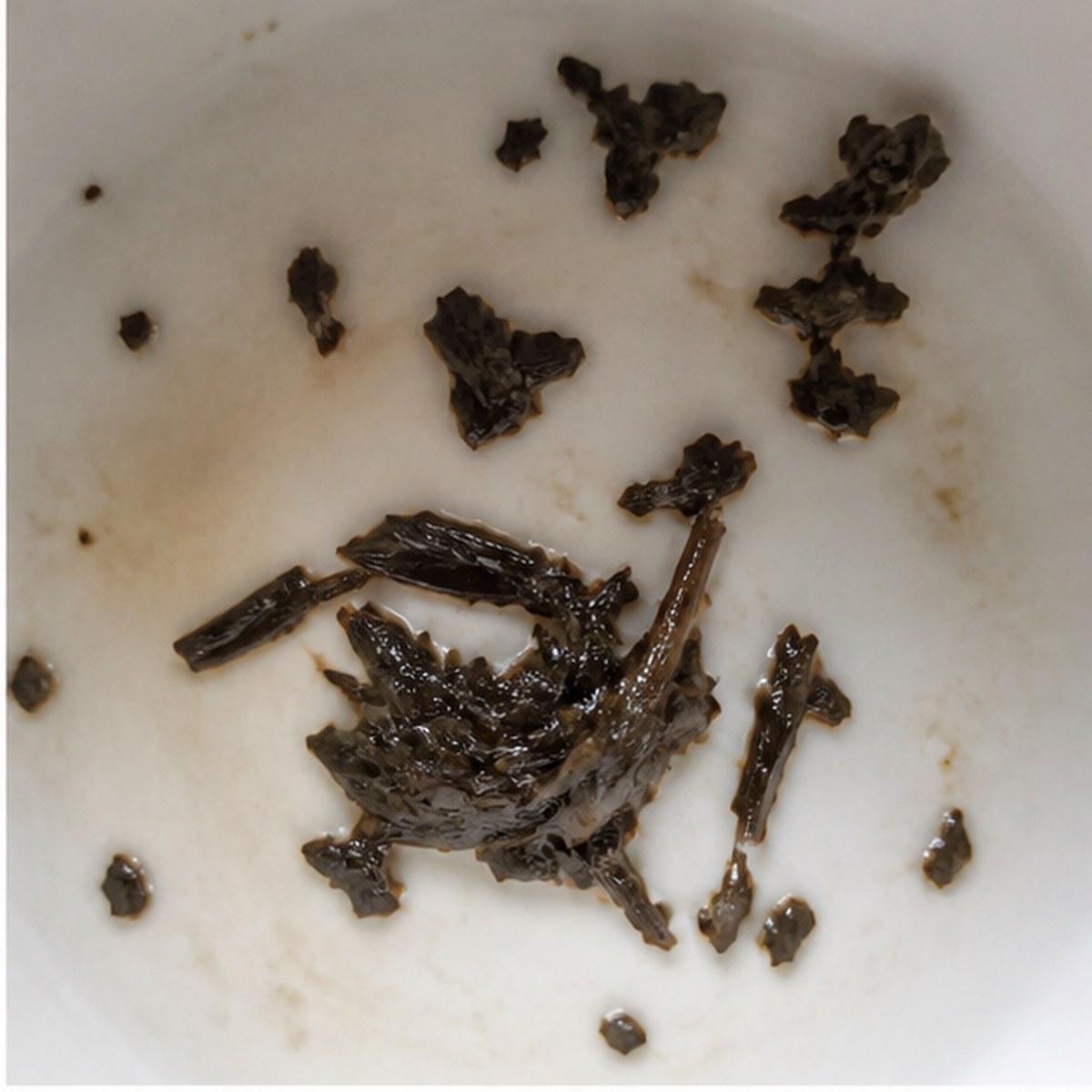 Onions tea leaves cup variation one