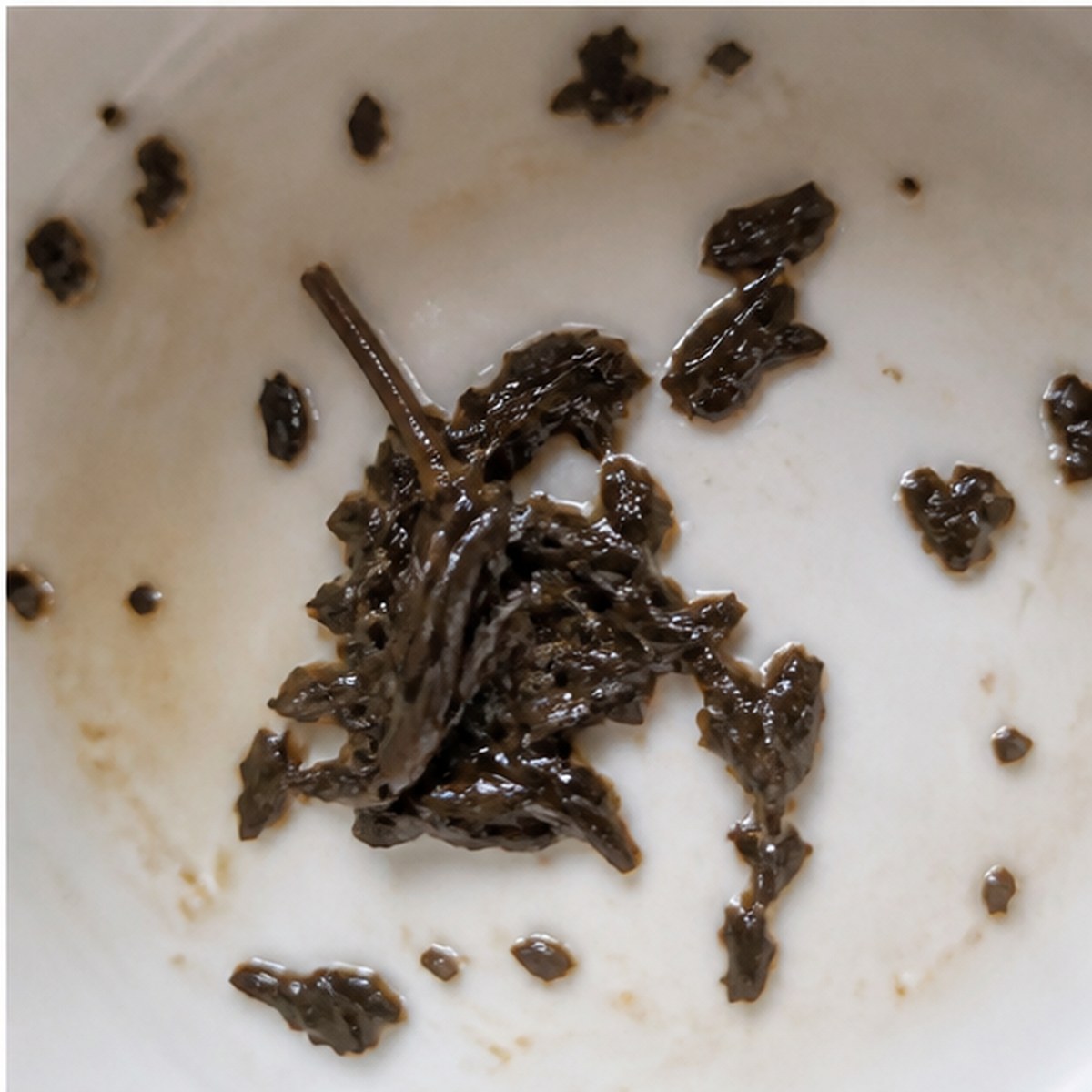 Onions tea leaves cup variation three