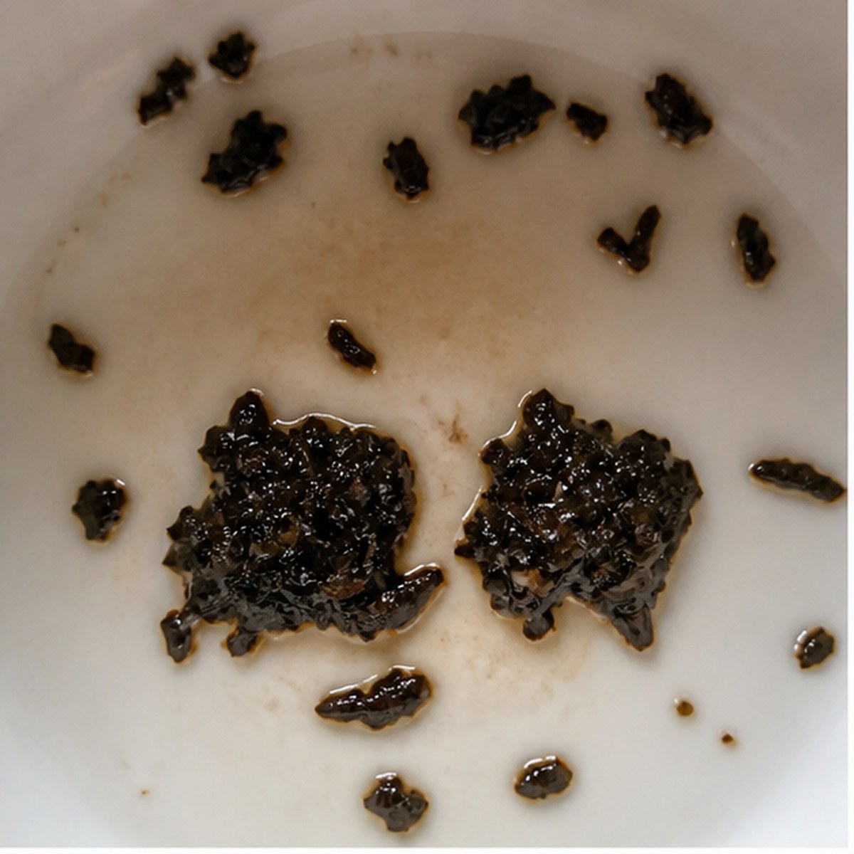 Opera-Glasses tea leaf reading cup example