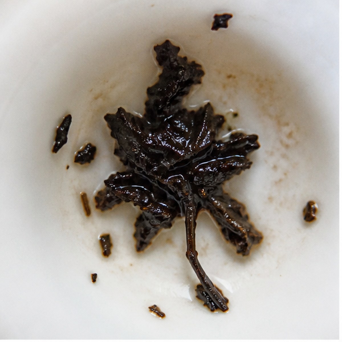Orchids tea leaf reading cup example