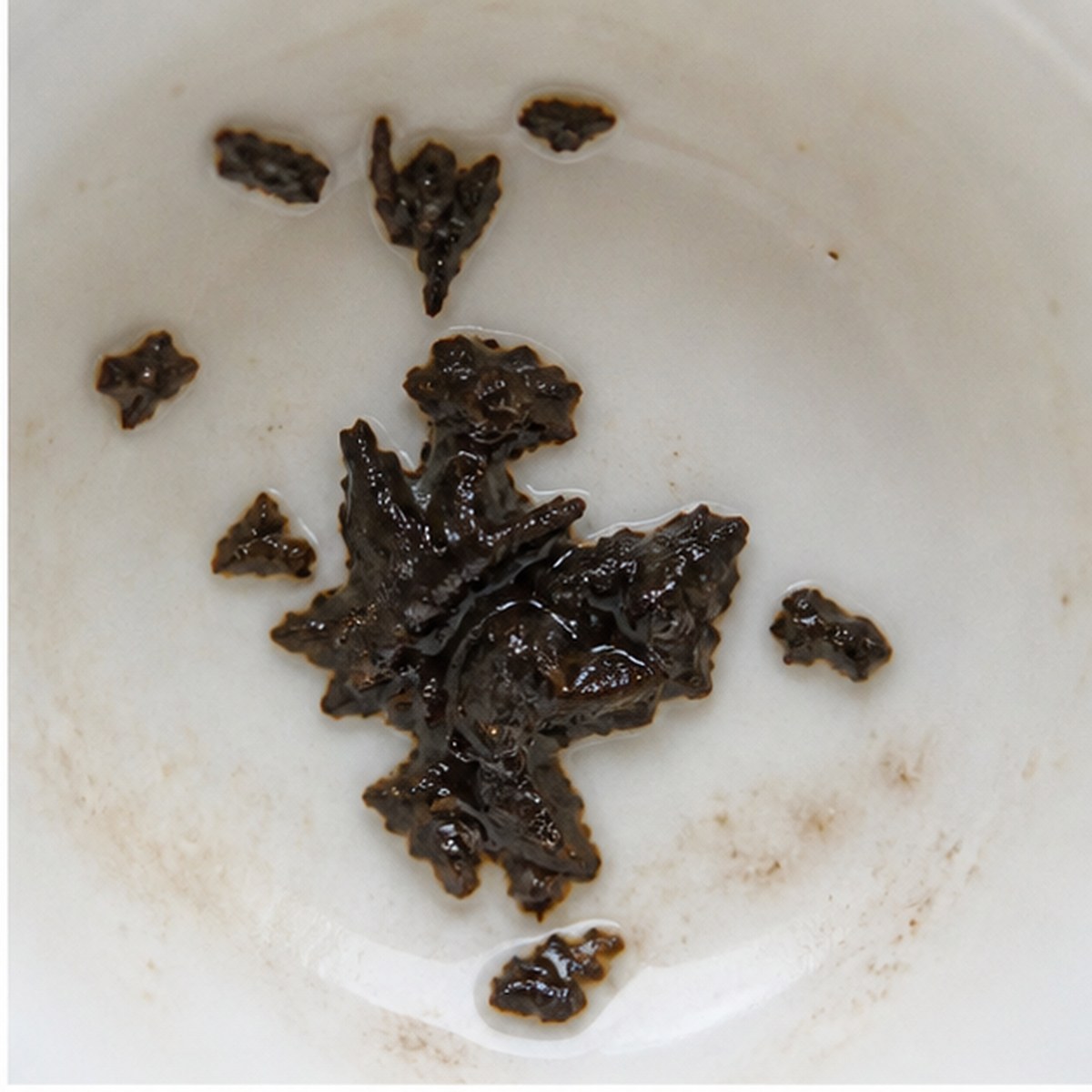 Orchids tea leaves cup variation one