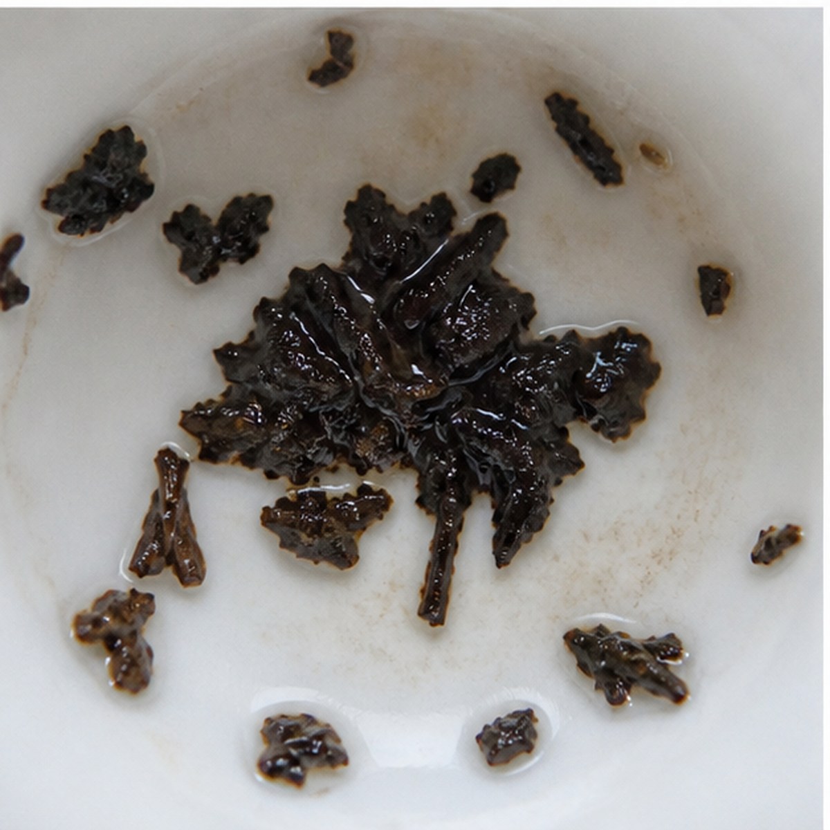 Orchids tea leaves cup variation two
