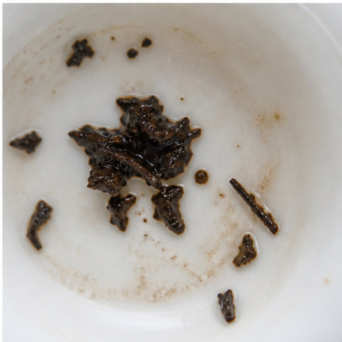 Orchids tea leaves cup variation three