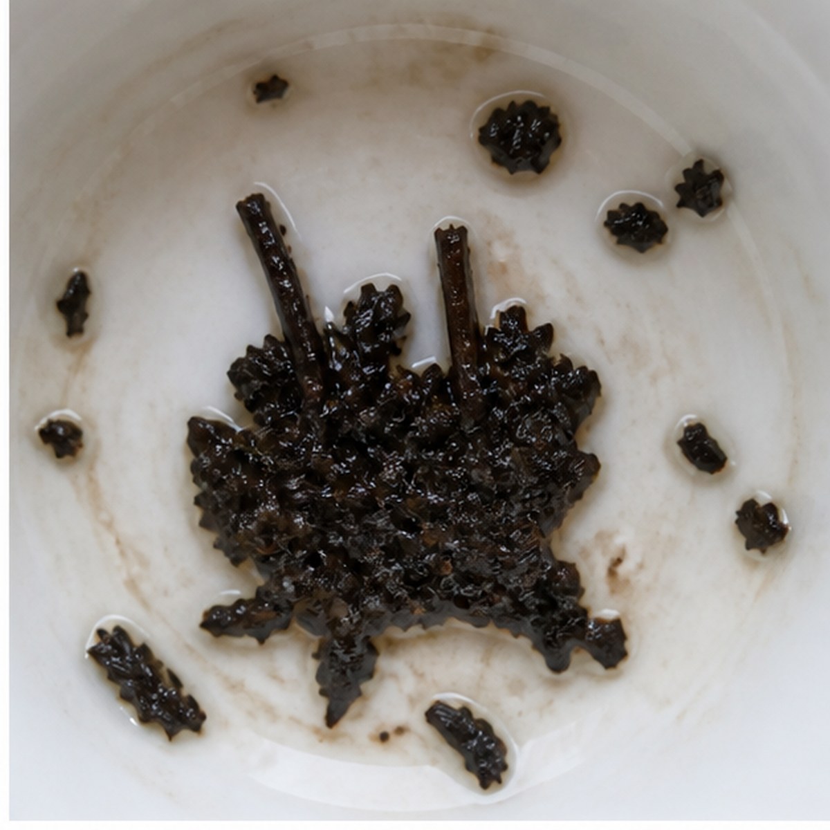 Organ tea leaves cup variation one