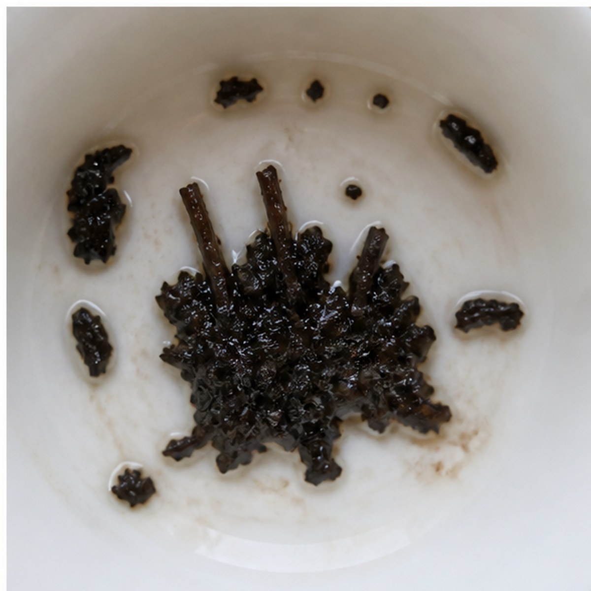 Organ tea leaves cup variation three
