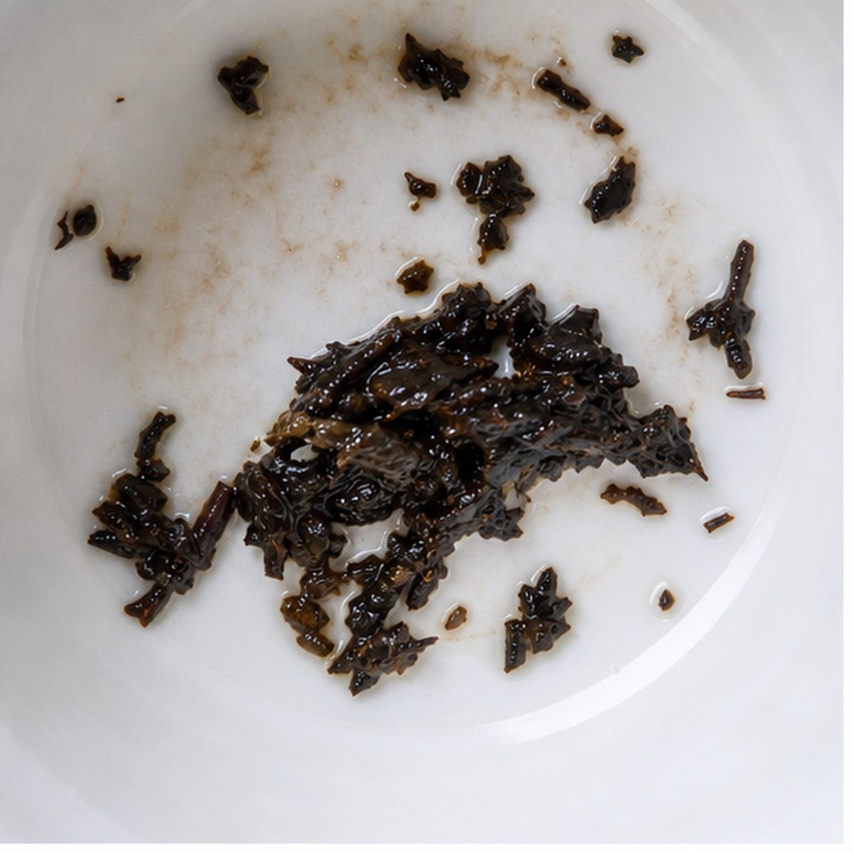 Ostrich tea leaf reading cup example