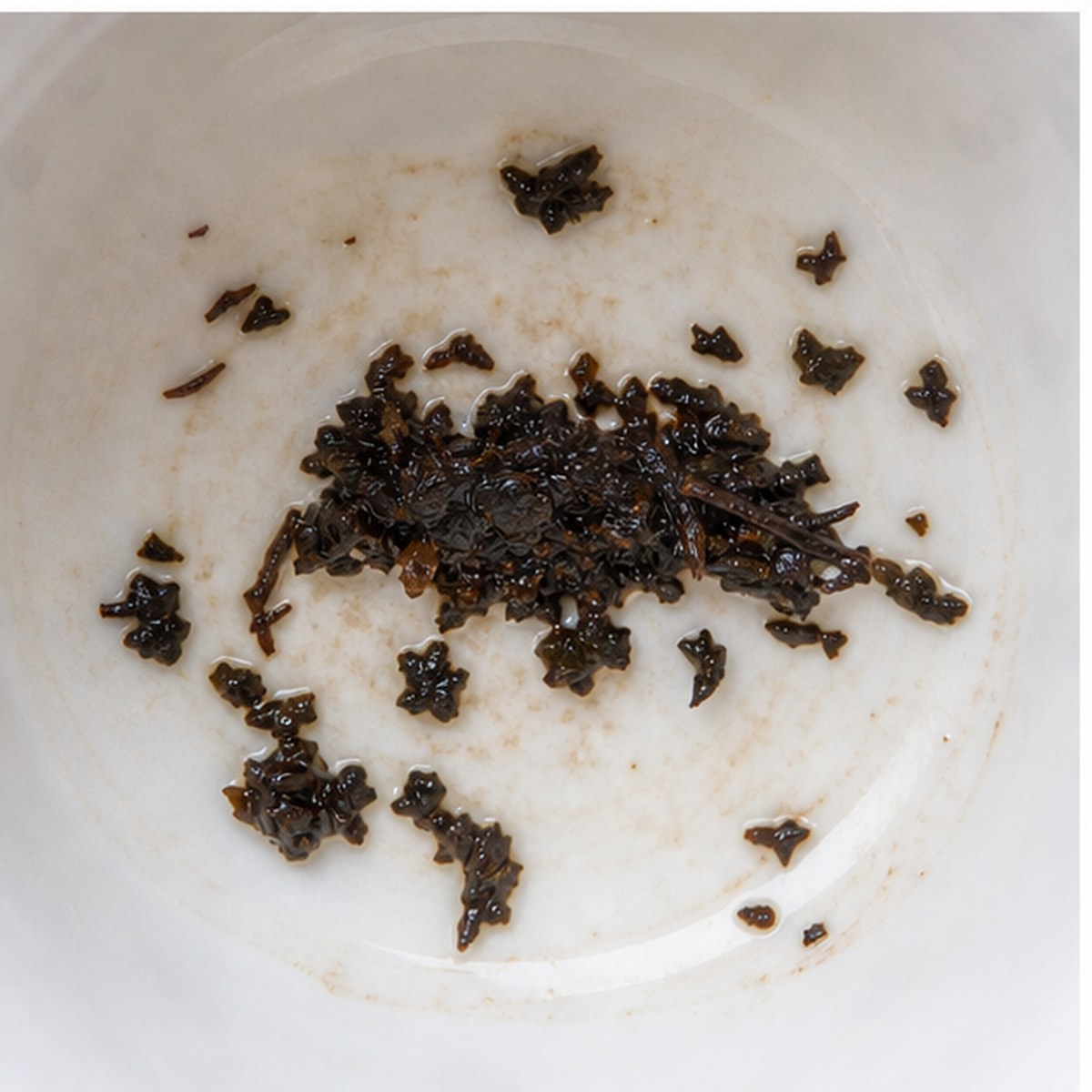Ostrich tea leaves cup variation two