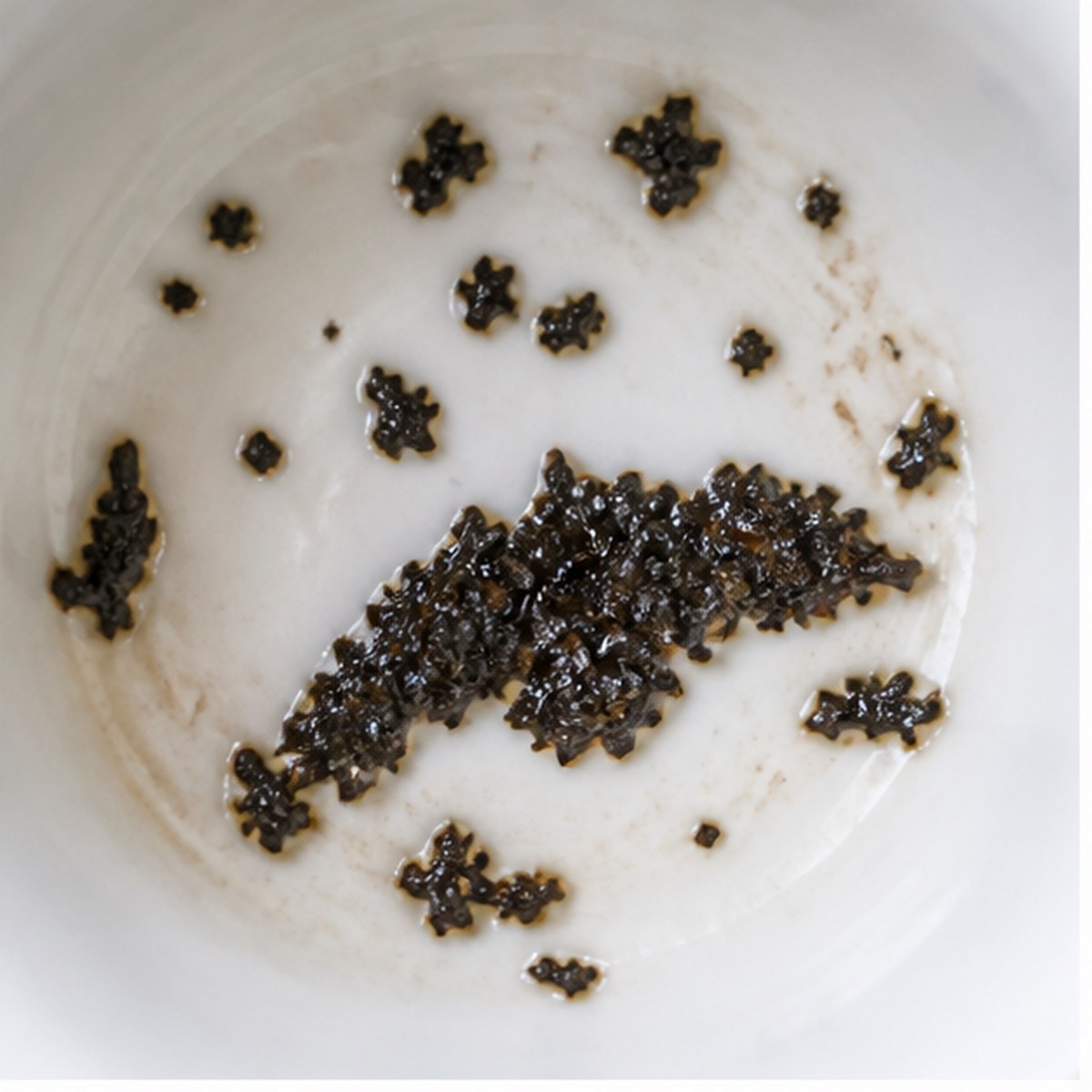 Otter tea leaf reading cup example