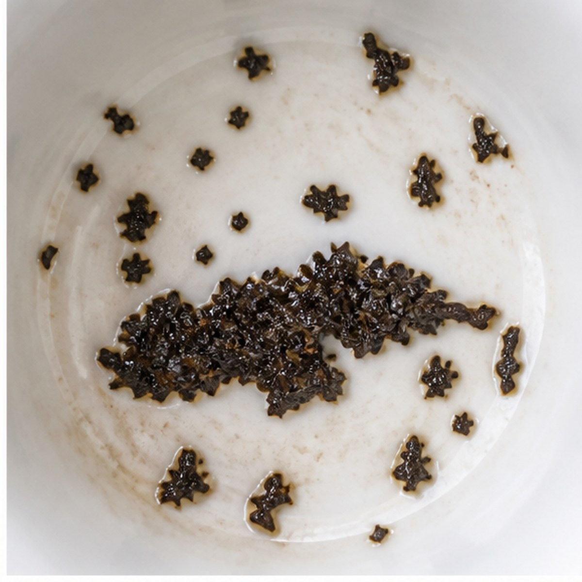 Otter tea leaves cup variation one