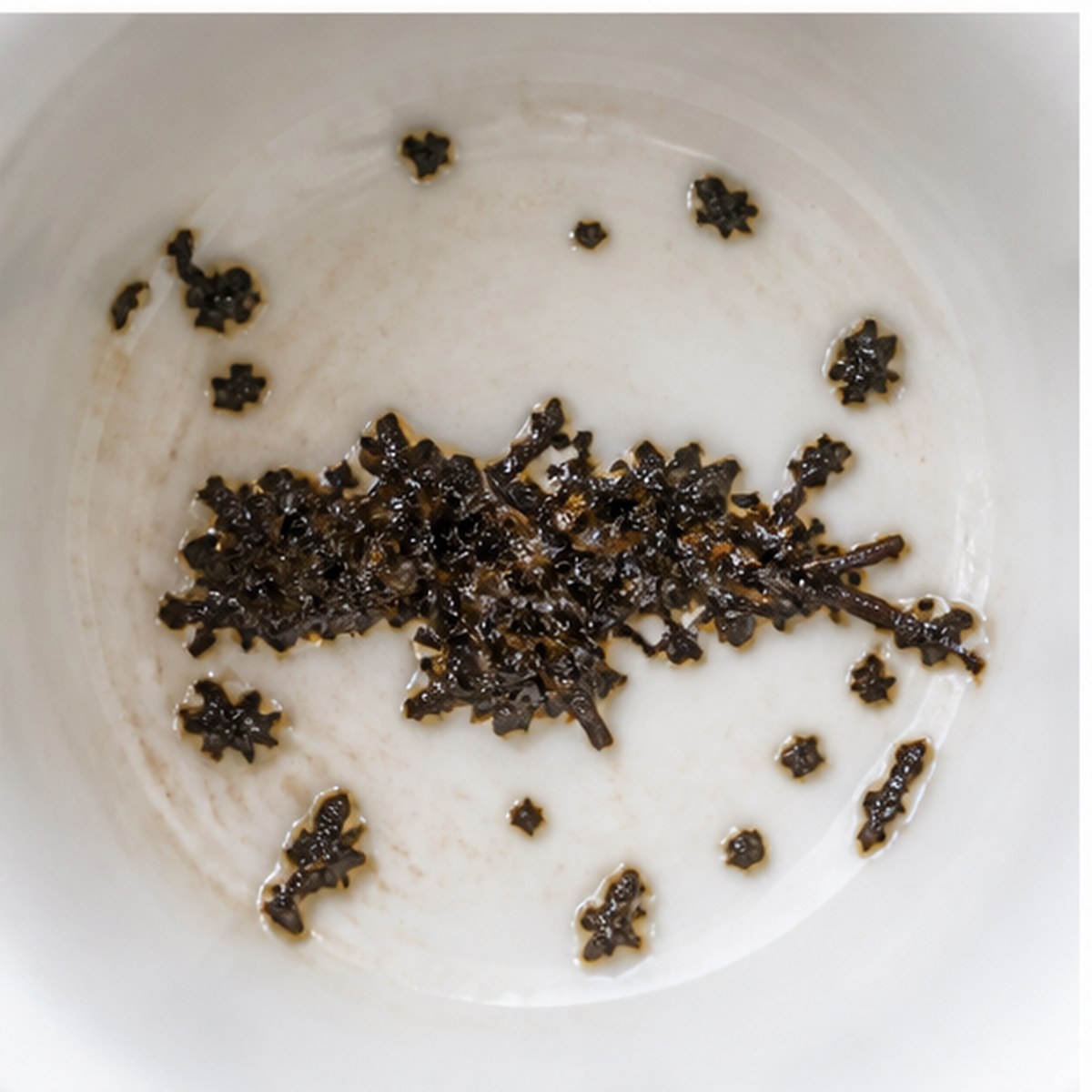 Otter tea leaves cup variation two