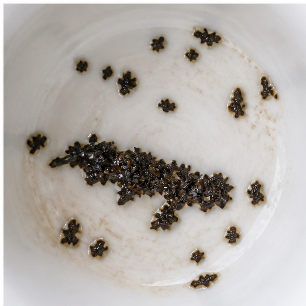 Otter tea leaves cup variation three