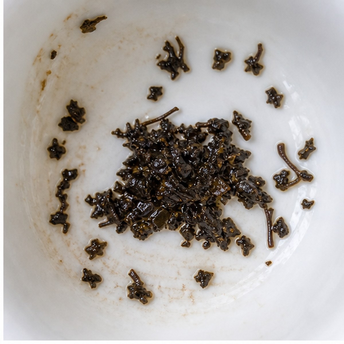Overcoat tea leaves cup variation one
