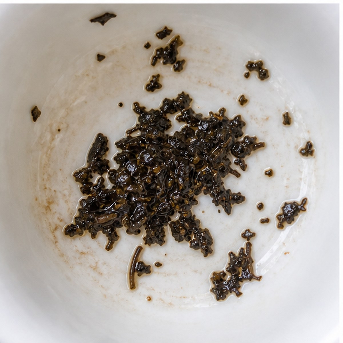 Overcoat tea leaves cup variation two
