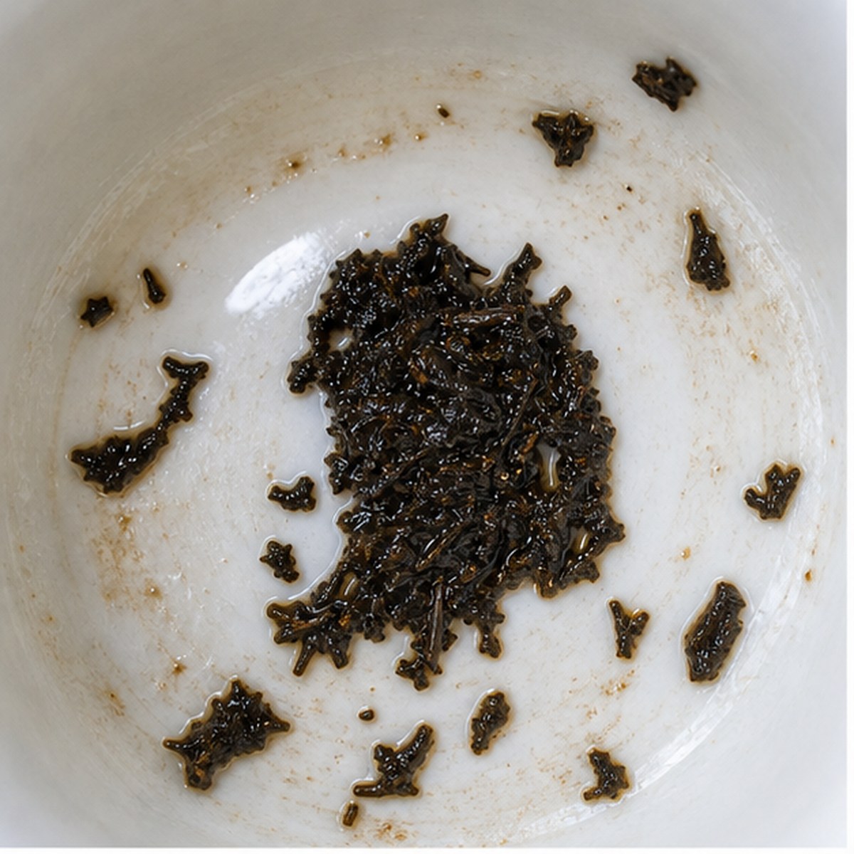 Owl tea leaf reading cup example