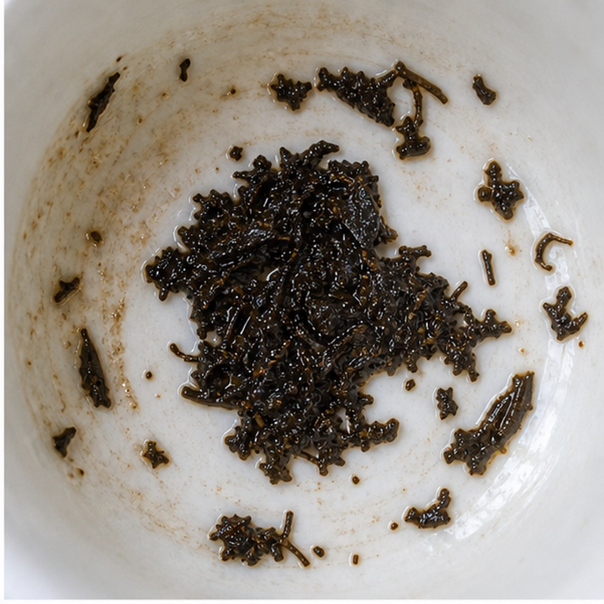 Owl tea leaves cup variation one