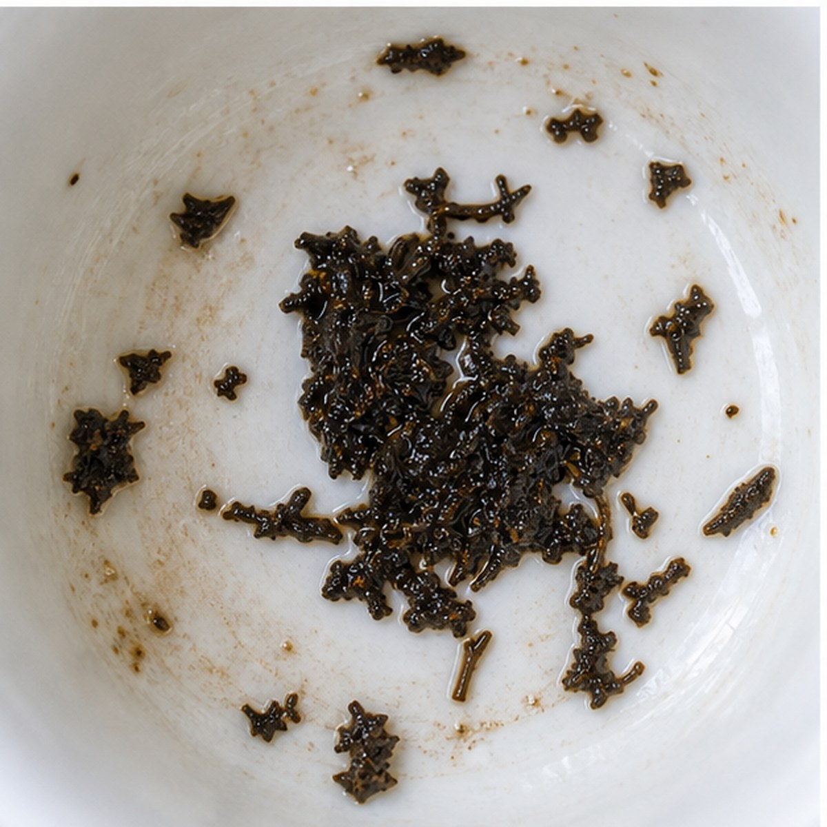Owl tea leaves cup variation two