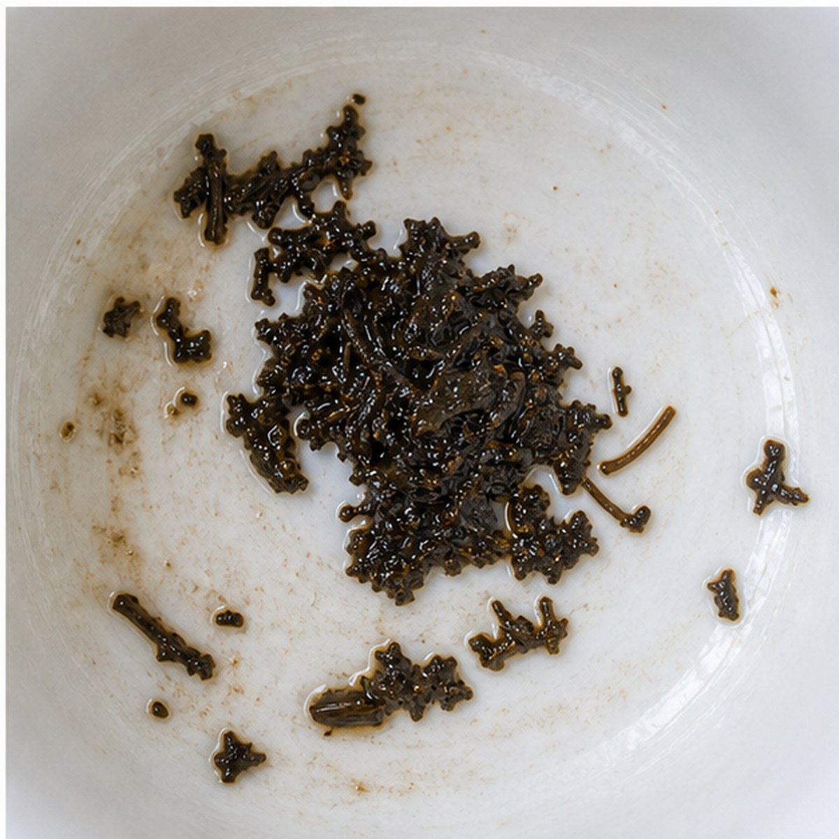 Owl tea leaves cup variation three