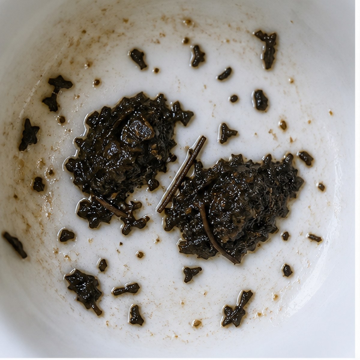 Oysters tea leaf reading cup example