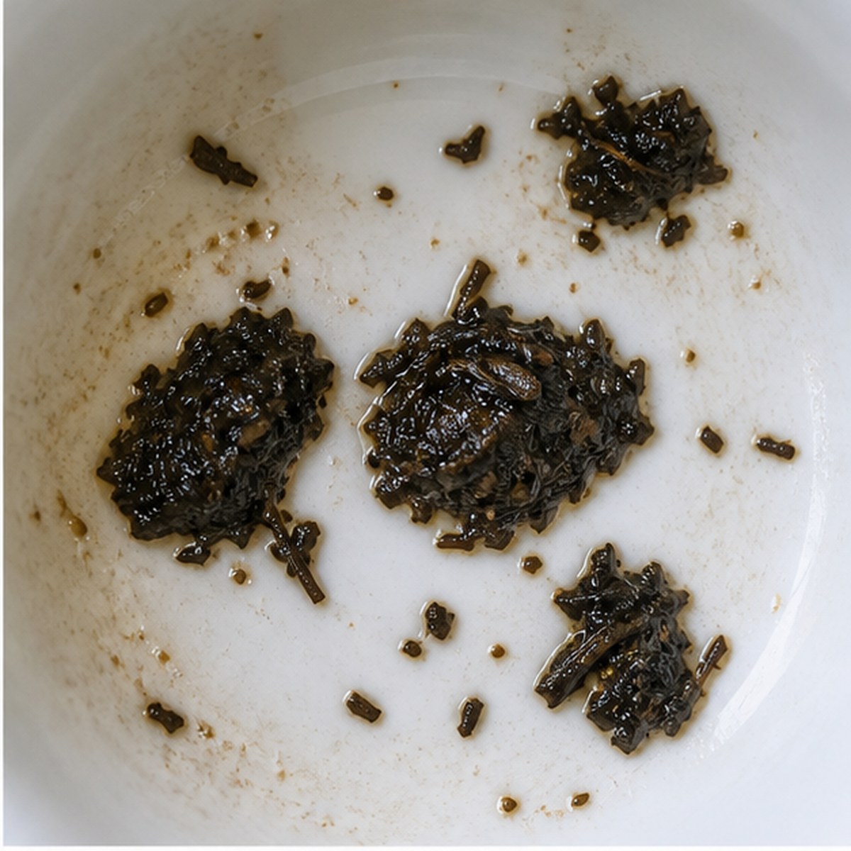 Oysters tea leaves cup variation one
