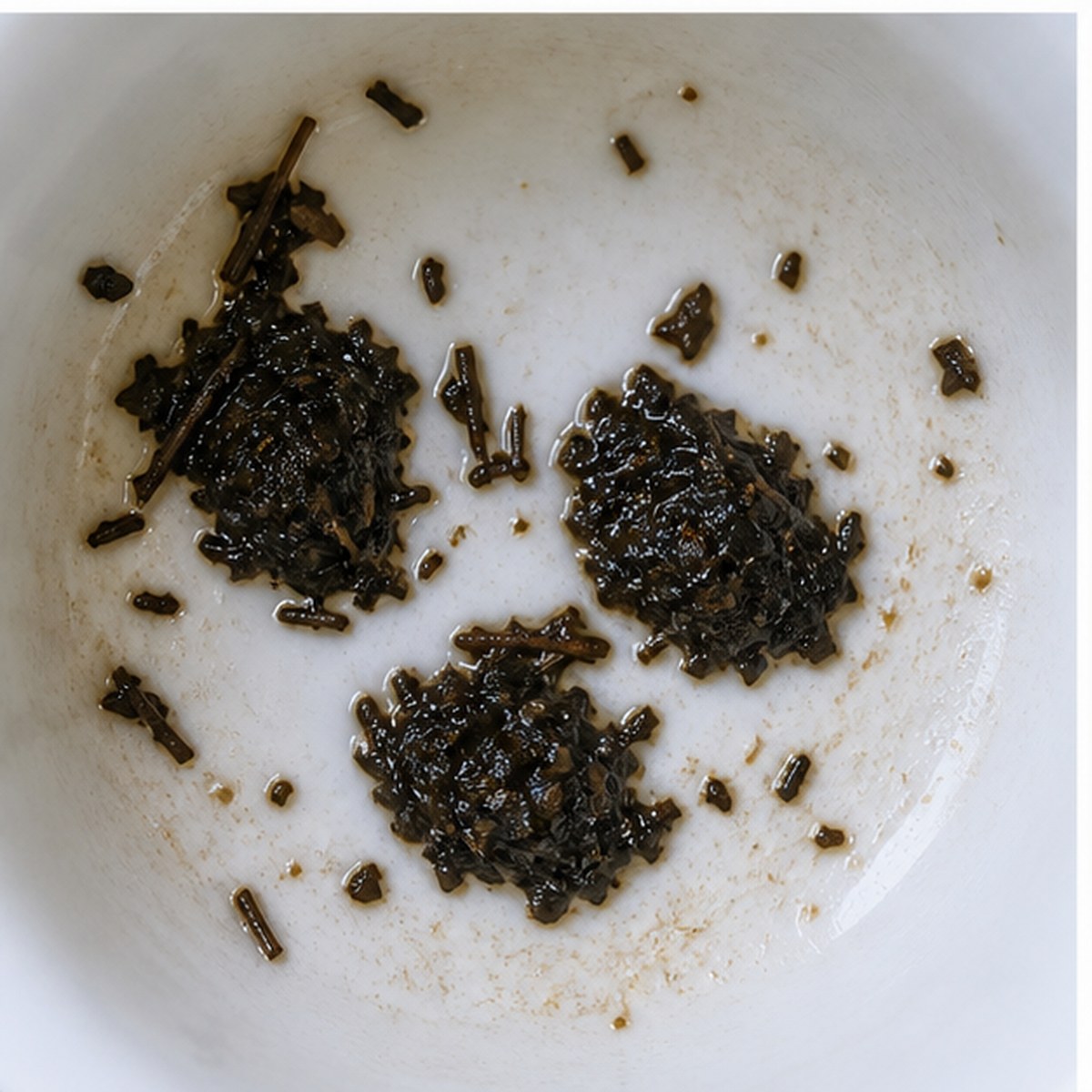 Oysters tea leaves cup variation two