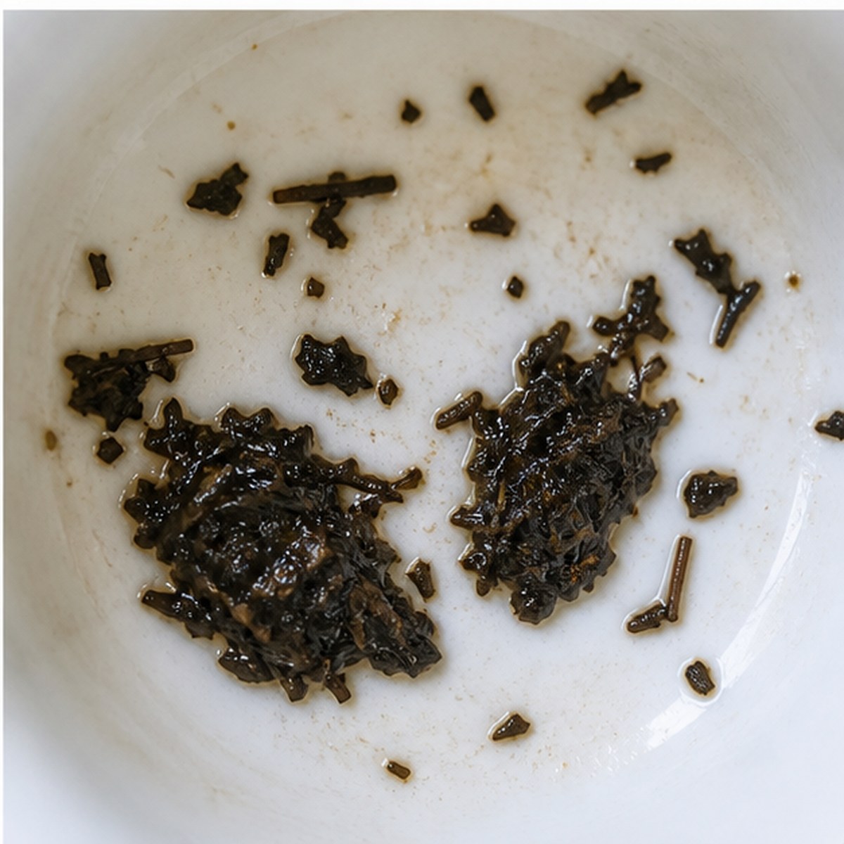 Oysters tea leaves cup variation three