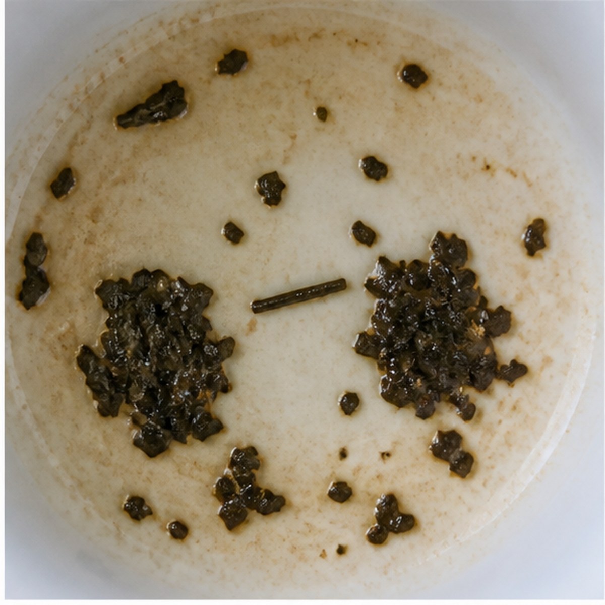 Pails On Yoke tea leaves cup variation one