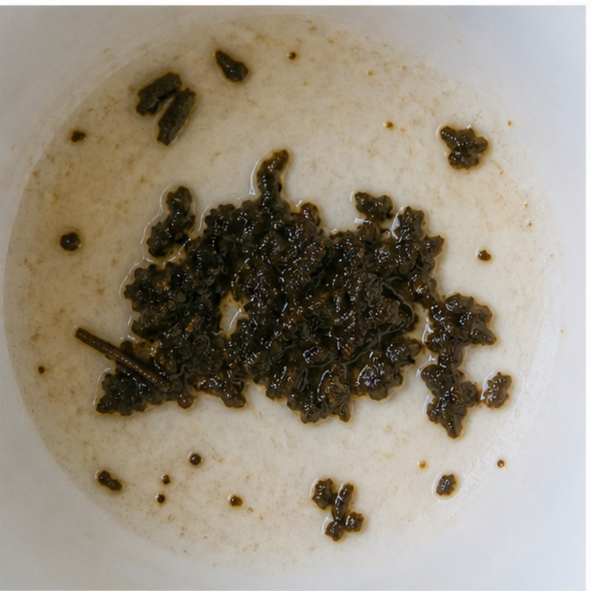 Palace tea leaves cup variation two