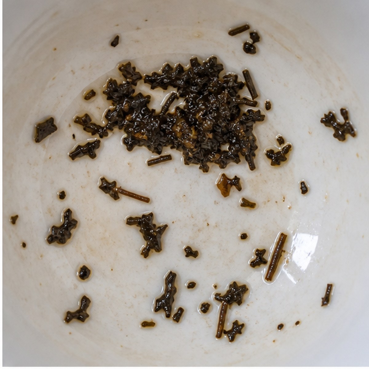 Palm-Tree tea leaves cup variation one