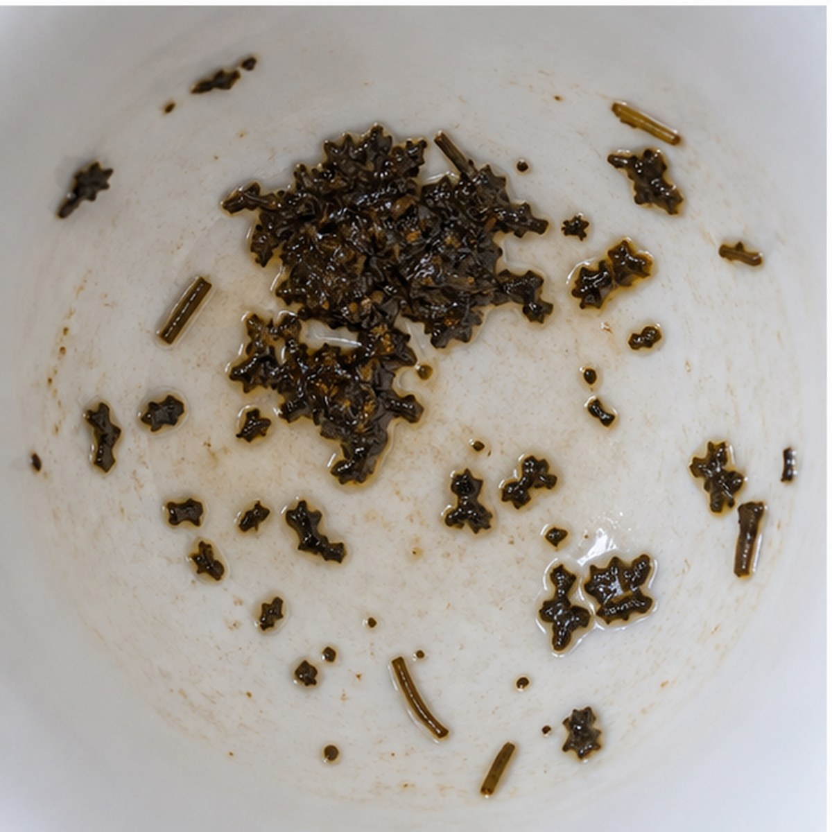 Palm-Tree tea leaves cup variation two
