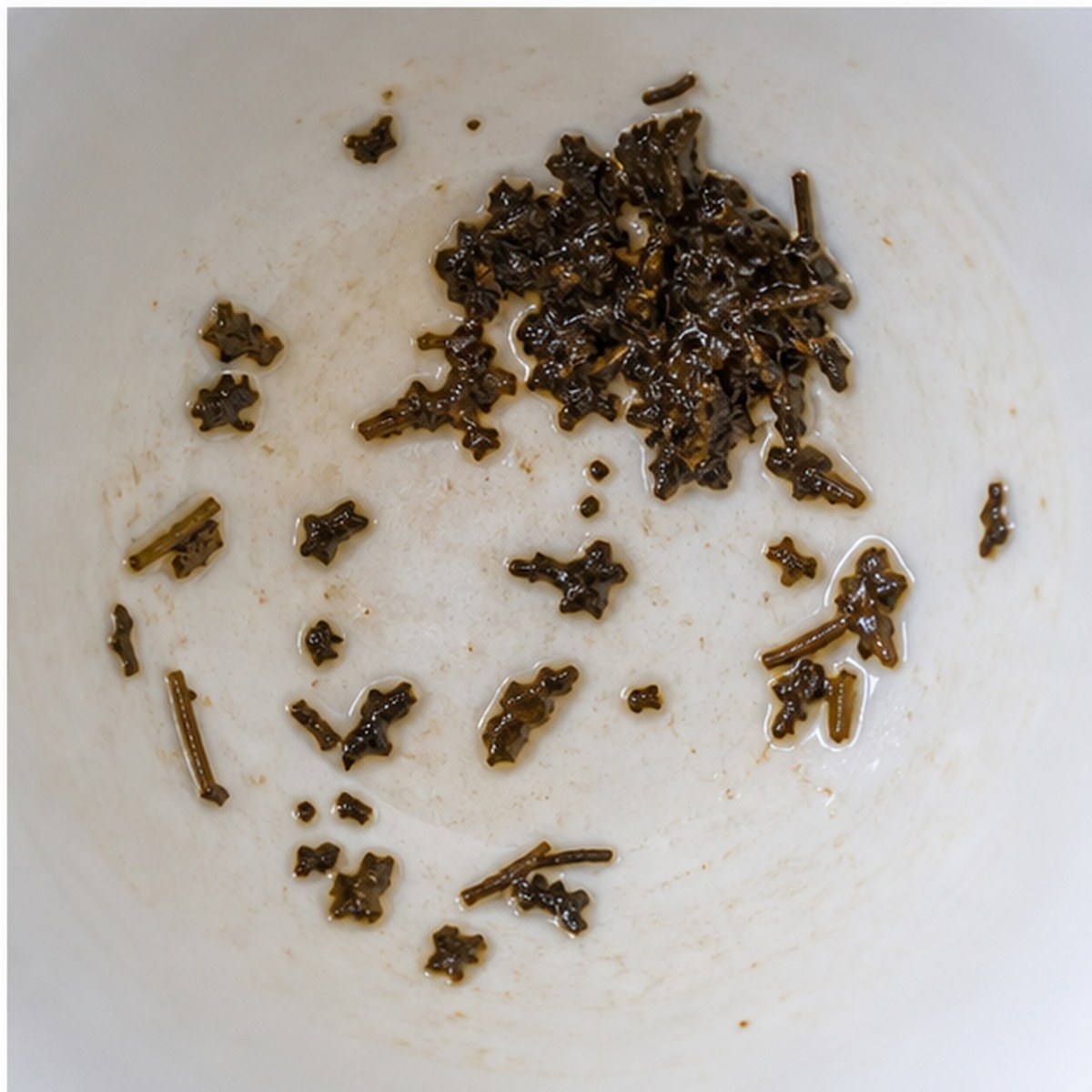 Palm-Tree tea leaves cup variation three