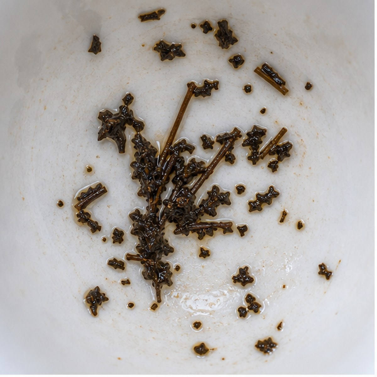 Pampas Grass tea leaf reading cup example