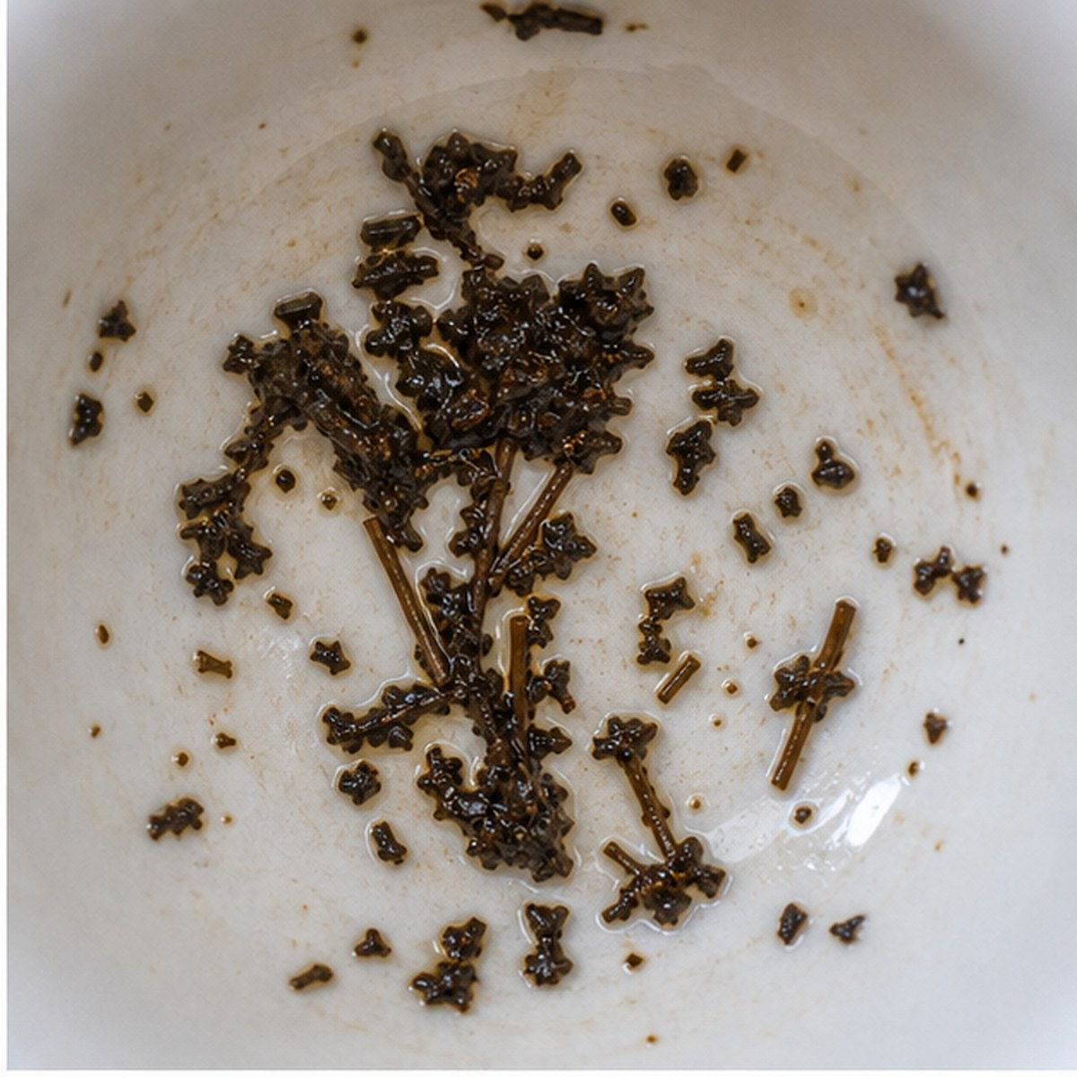Pampas Grass tea leaves cup variation one