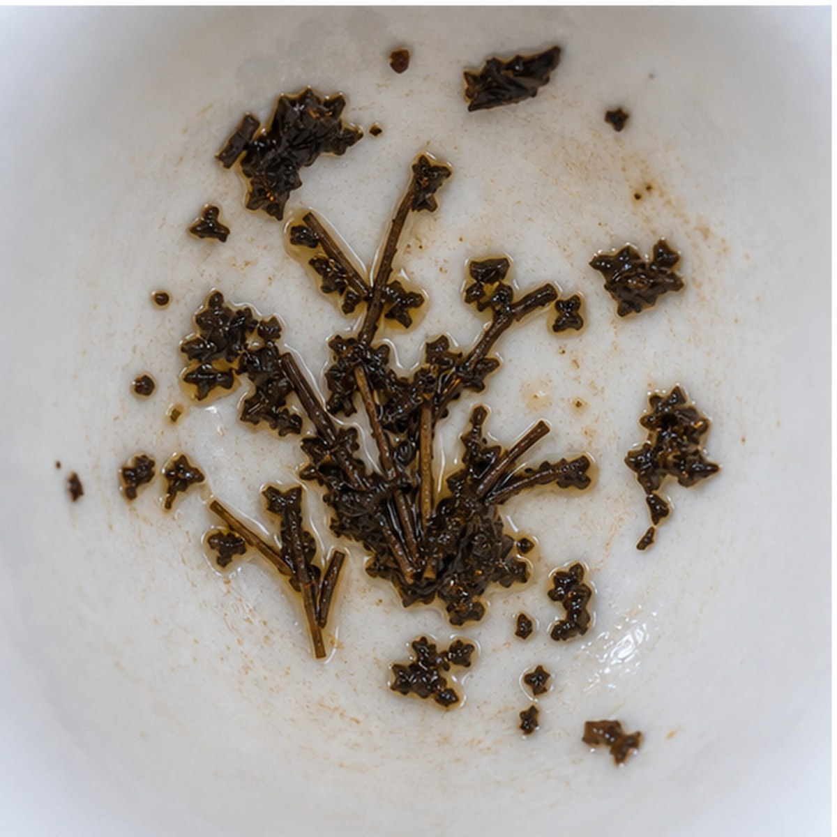 Pampas Grass tea leaves cup variation two