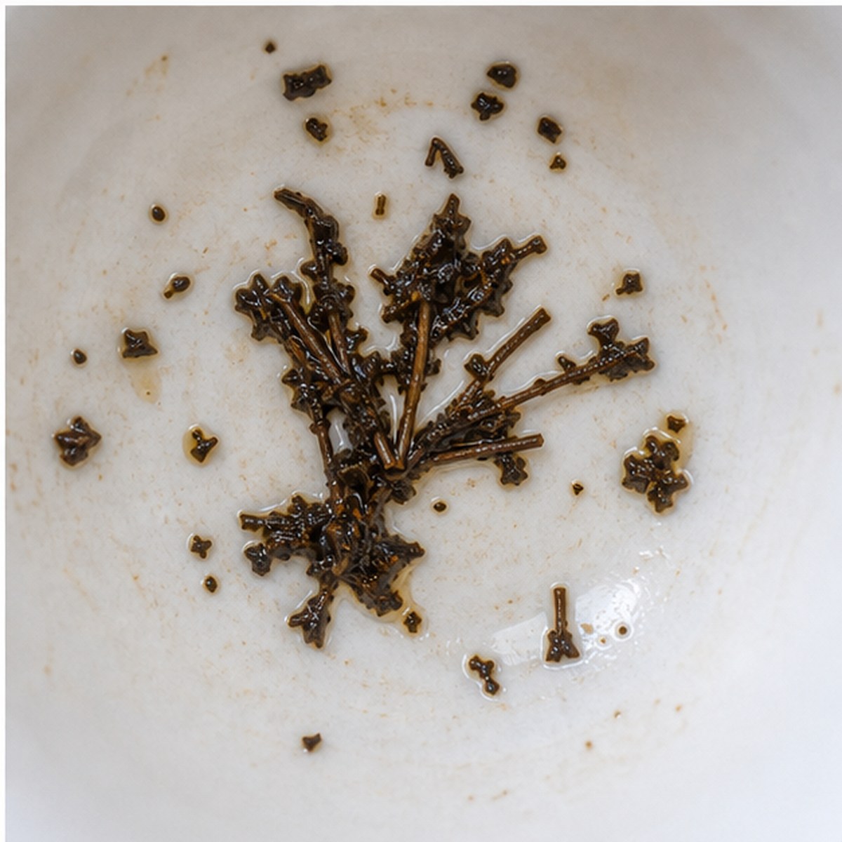 Pampas Grass tea leaves cup variation three